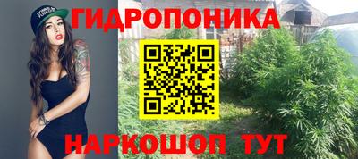 стаф Азнакаево