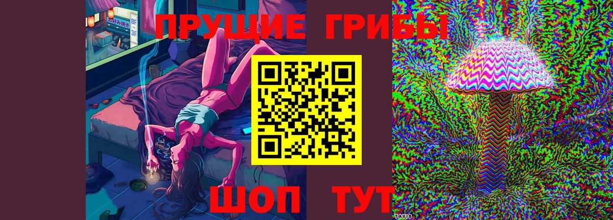 Галлюциногенные грибы MAGIC MUSHROOMS  Вход с VPN  наркота  Амурск 