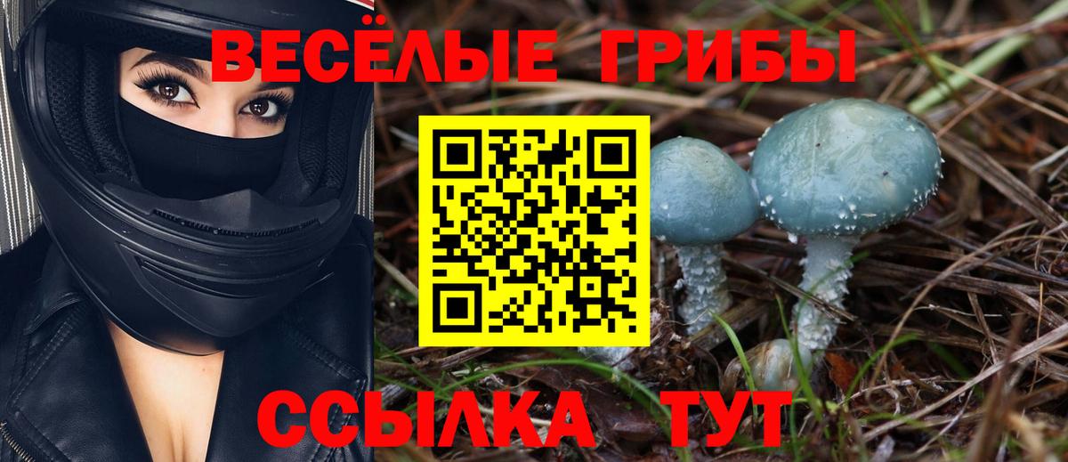 Псилоцибиновые грибы мухоморы Амурск