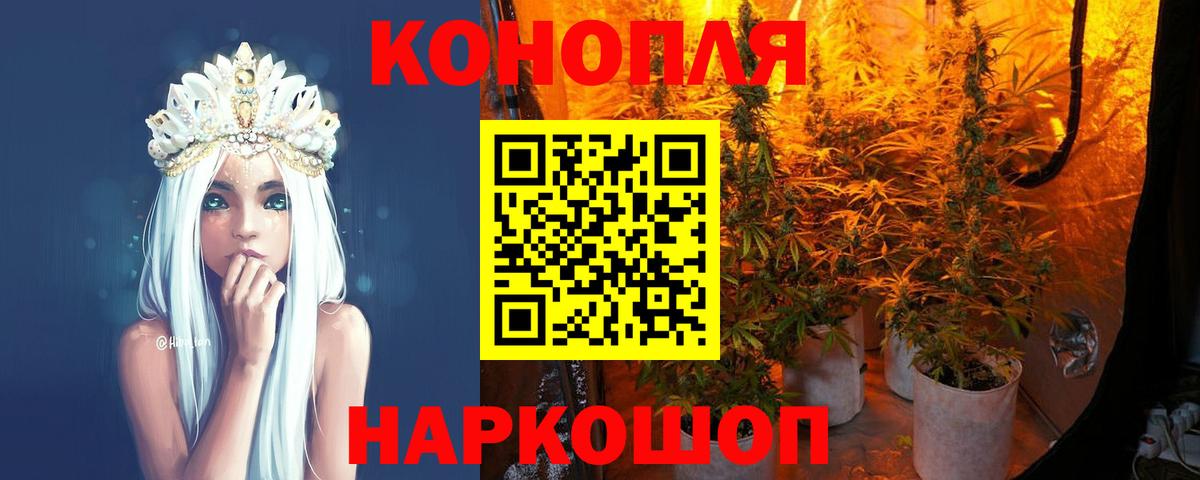 Амурск  Бошки Шишки планчик  Вход с VPN  Каннабис White Widow  Марихуана индика 
